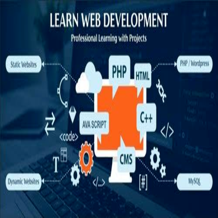 Web Development Training in Lagos and Ibadan. picture